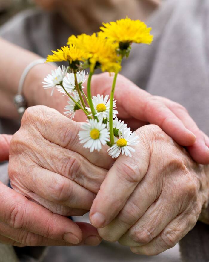 Manos de una persona mayor sosteniendo flores silvestres